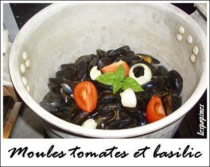 recette de moules  la tomate et basilic