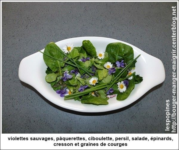 salade de fleurs sauvages 5de91cbd